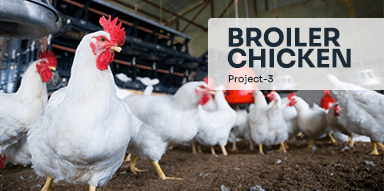 Broiler Chicken( Project-3)