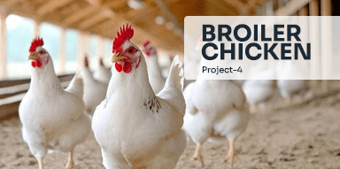 Broiler Chicken( Project-4)