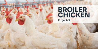 Broiler Chicken( Project-9)