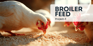 Broiler feed( Project-3)