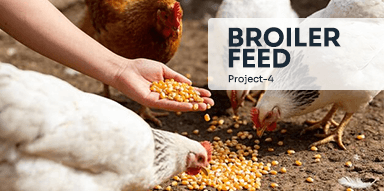 Broiler feed( Project-4)