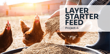 Layer starter Feed( Project-4)