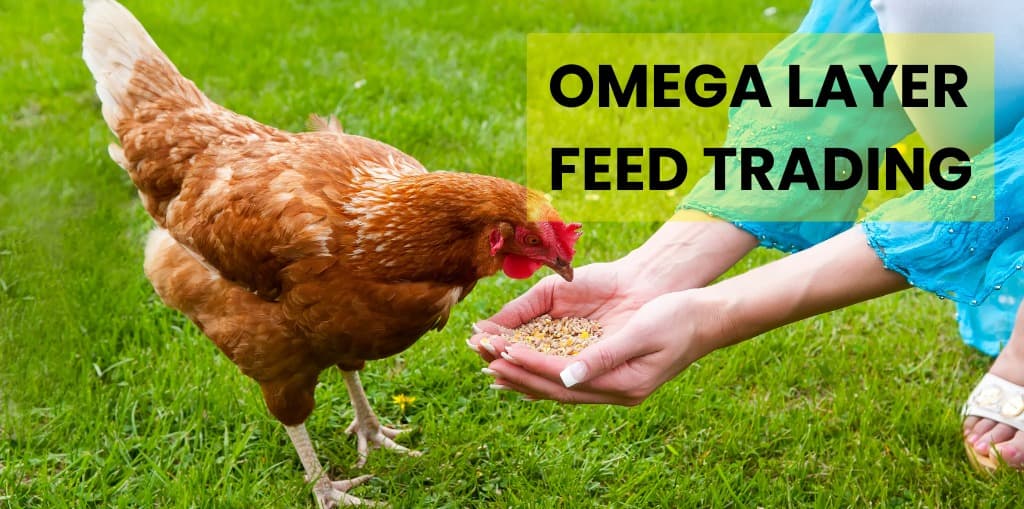 Omega Layer Feed Trading